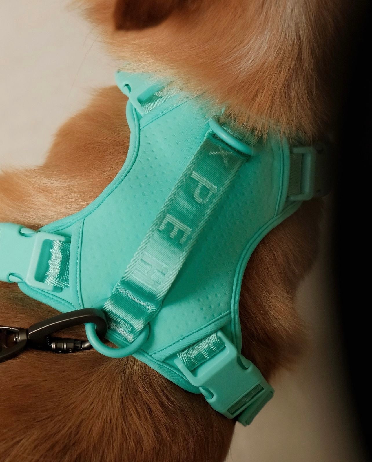 Dog Harness No Pull Active Fit Adjustable MINT GREEN Walking - gallery image 8