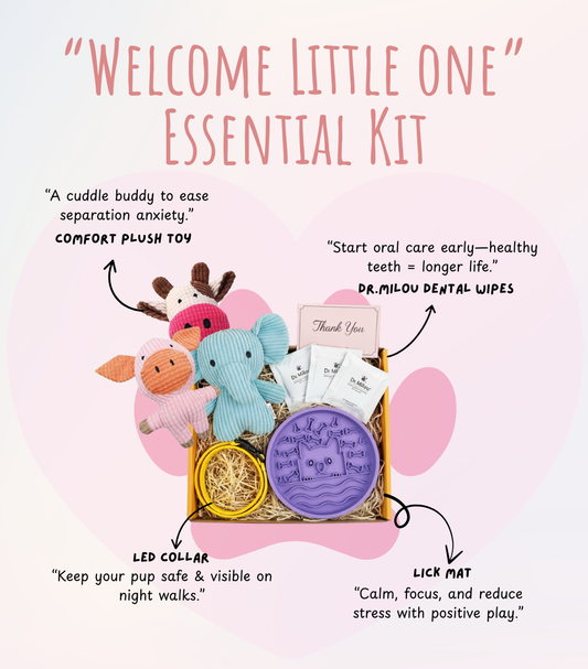 Puppy Starter Essentials Kit For New Dog Parents - main product image