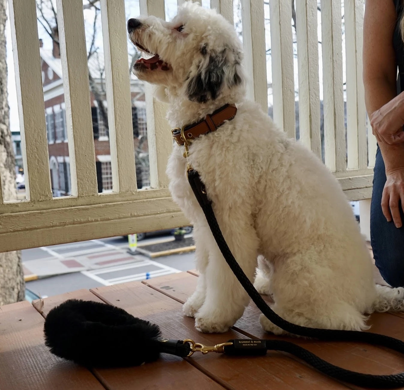 Dog Leash Bundle Shearling Fur Grip Rope Leash for Daily Use - detail product image for dog leash