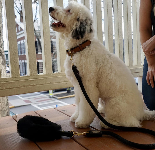 Dog Leash Bundle Shearling Fur Grip Rope Leash for Daily Use - detail product image for dog leash