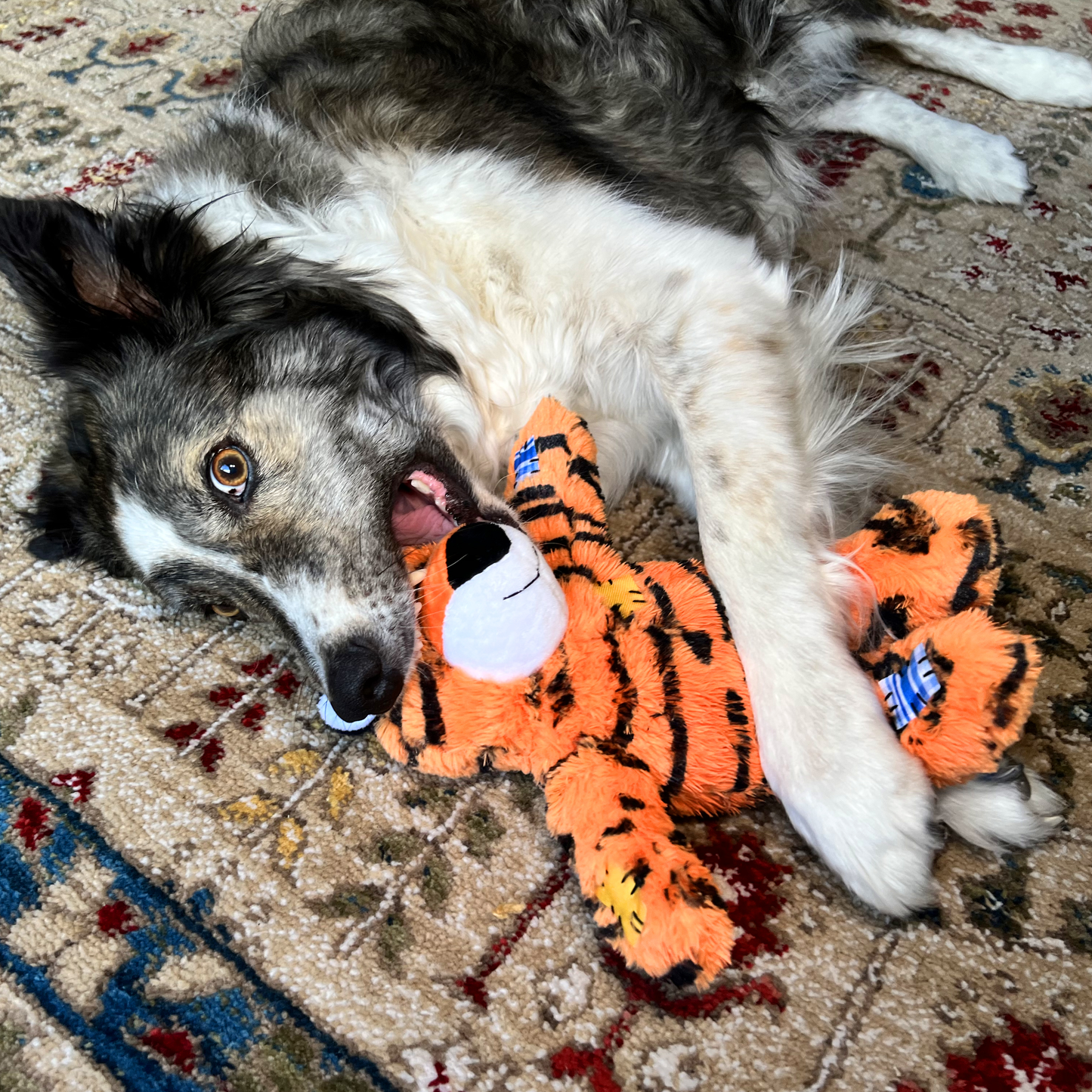 KONG Wild Knots Tiger Plush Dog Toy Durable Play - detail view