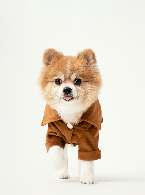 Stainway Shirt Orange Dog Apparel Premium Pet Supply Premium - close up view