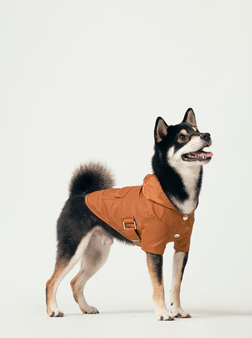 Bowery Raincoat Orange Dog Apparel Premium Pet Supply - main product image