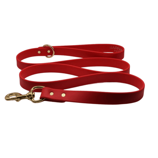 White Dog Leash Durable Walking Lead for Daily Walks main product image for dogs