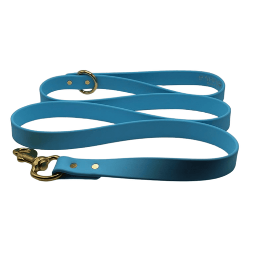 Teal Dog Leash Durable Walking Lead for Daily Walks main product image for dogs