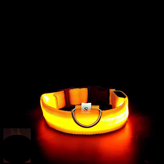 LED Glowing Pet Collar - Yellow - main product image