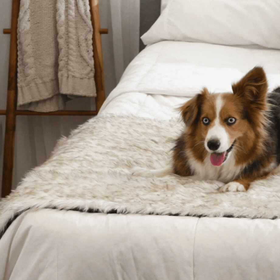 Pupprotector Waterproof Bed Runner White With Brown Accents - gallery image 8