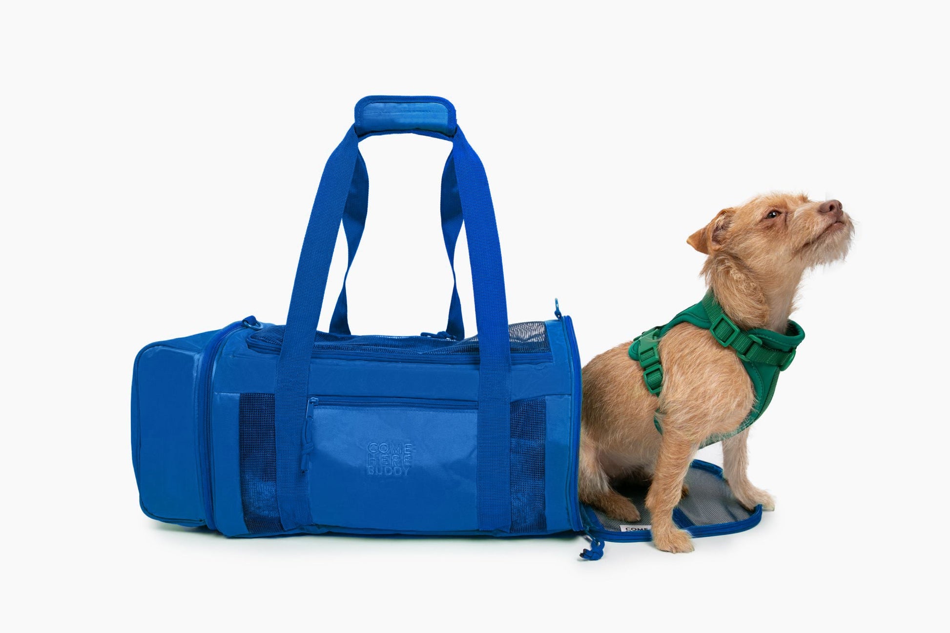 Travel Buddy - Pet Carrier - gallery image 14