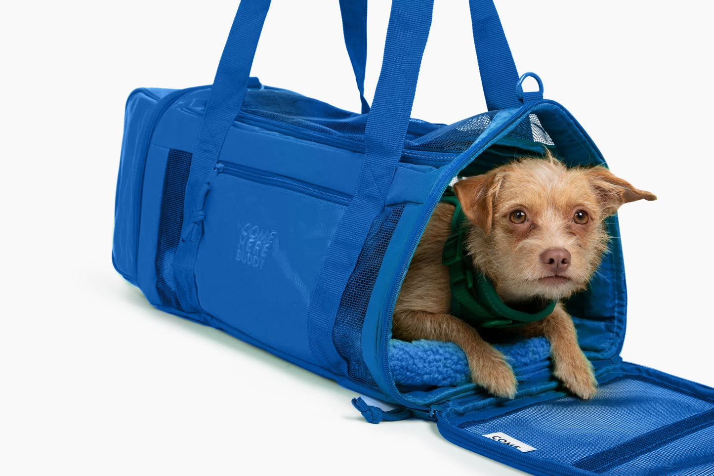Travel Buddy - Pet Carrier - gallery image 10