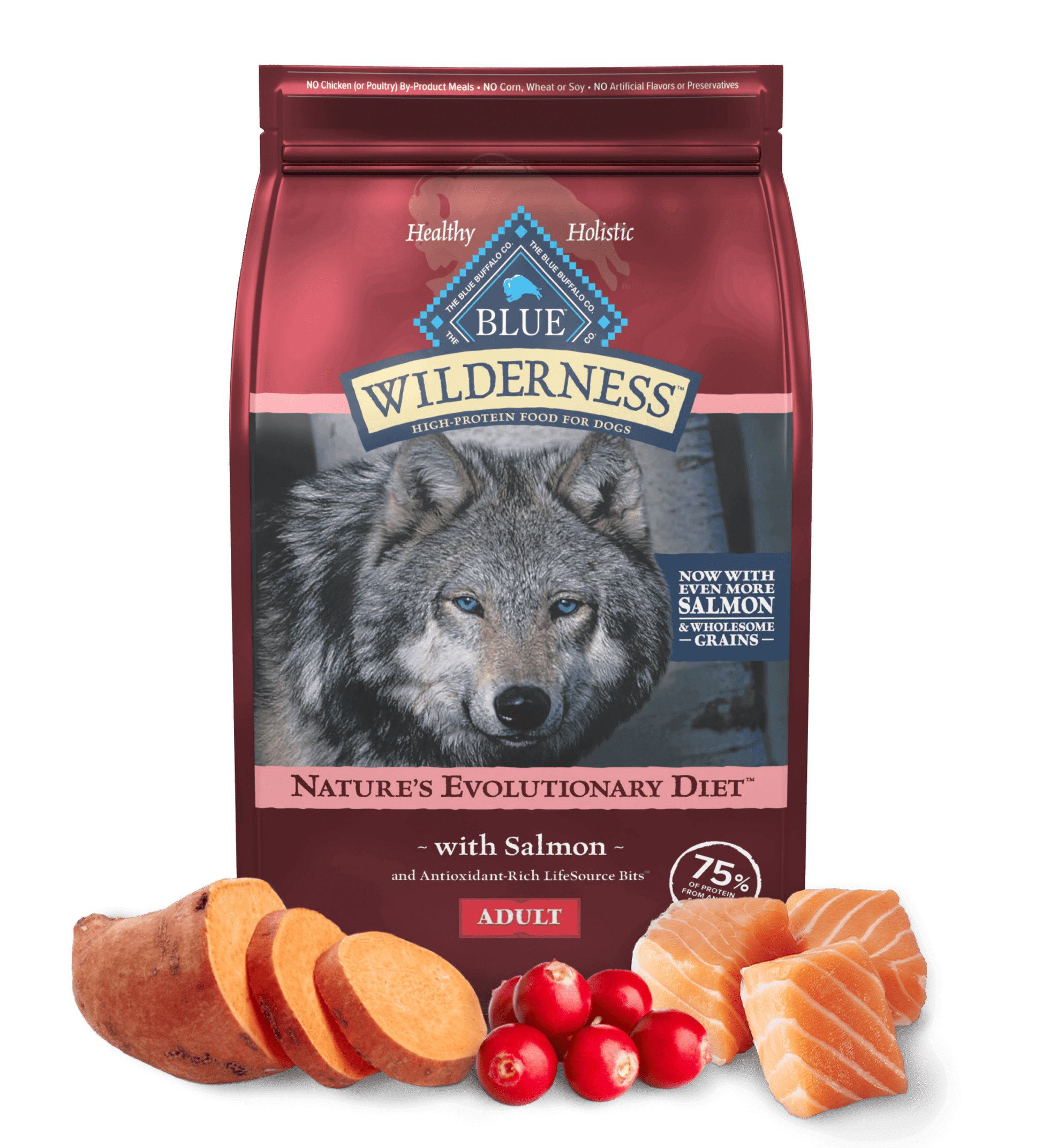 Blue Buffalo Wilderness Adult Salmon With Wholesome Grains - main product image