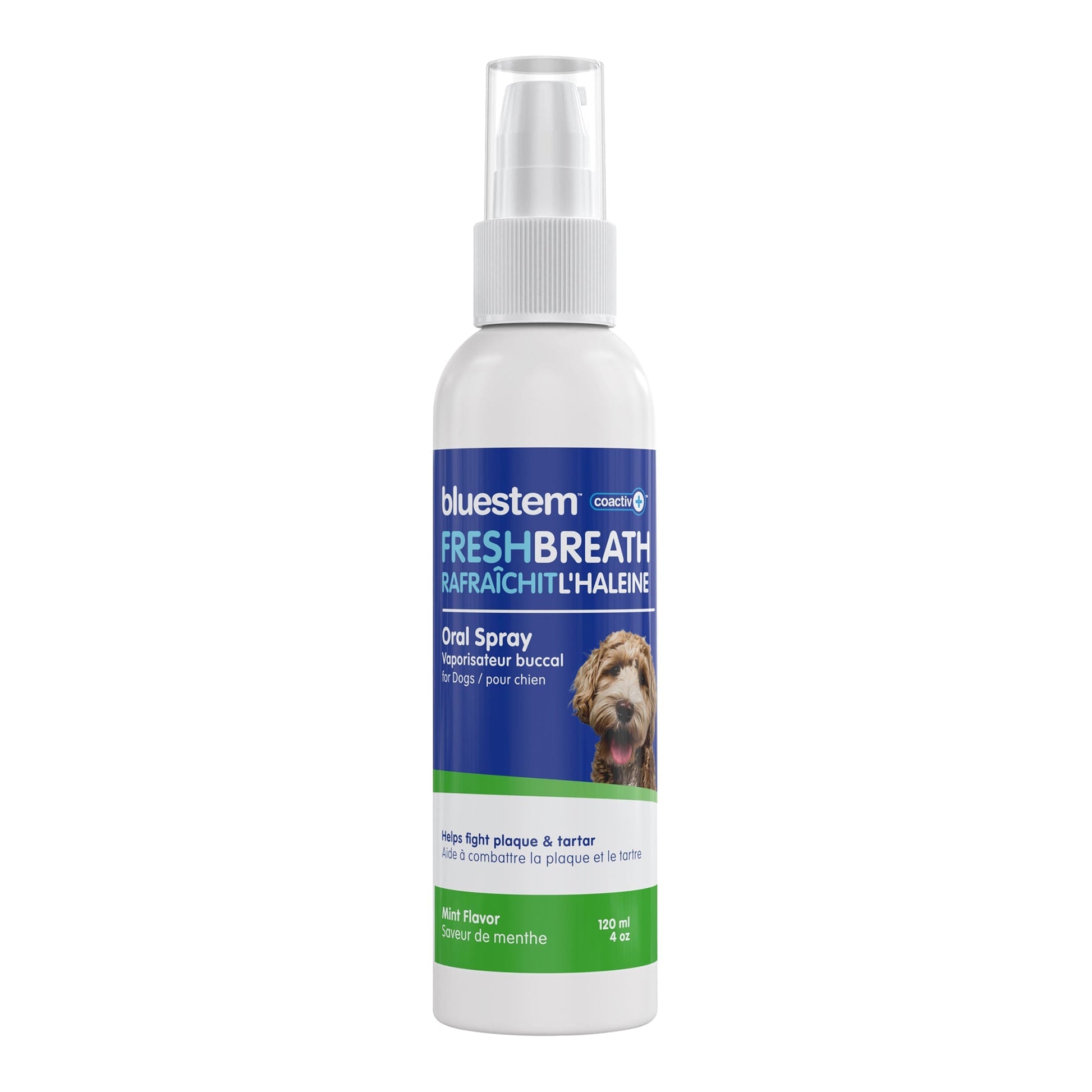 Bluestem Oral Care Dog Spray Mint 4 Fl Oz Pet Dental Care - lifestyle view