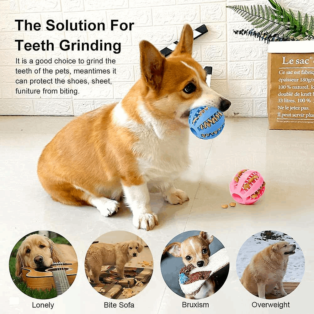 Dog Treat Toy Ball Dog Tooth Cleaning Toy Interactive Dog - gallery image 7