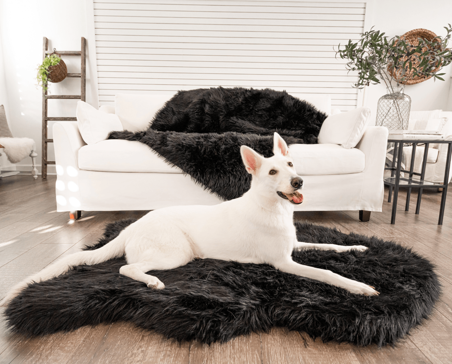 Memory Foam Dog Bed Faux Fur Midnight Black Orthopedic Comfo - gallery image 9