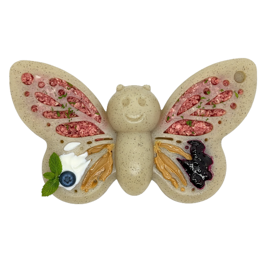 Butterfly Nylon Chew Enrichment Toy 2 In 1 For Aggressive - main product image