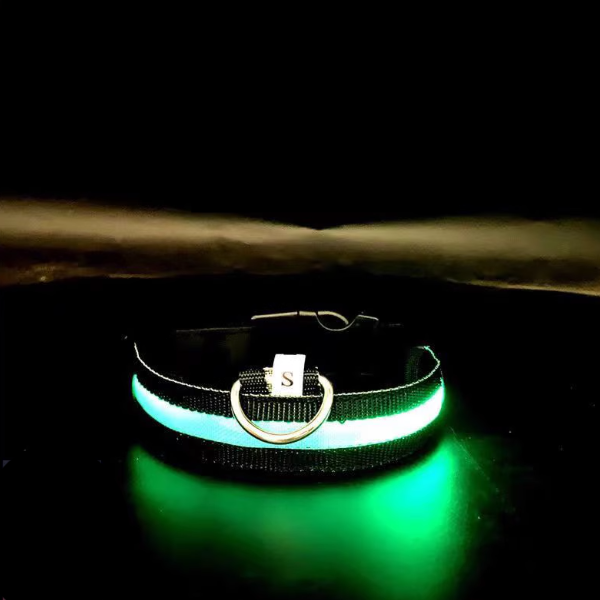 LED Glowing Pet Collar - Rainbow - main product image
