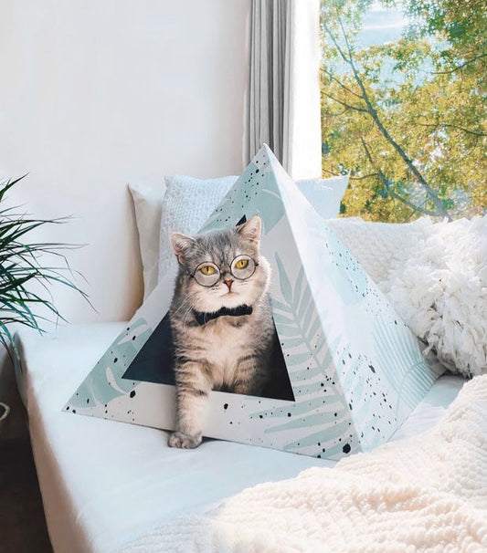 'Oasis' Cardboard Cat Pyramid - detail view