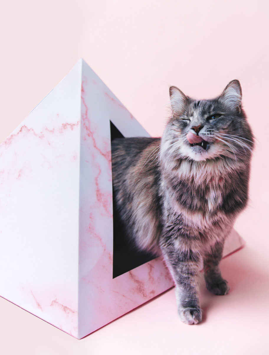 'Rose Quartz' Cardboard Cat Pyramid - main product image