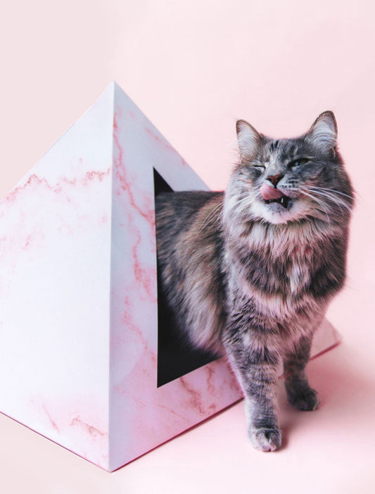 'Rose Quartz' Cardboard Cat Pyramid - main product image