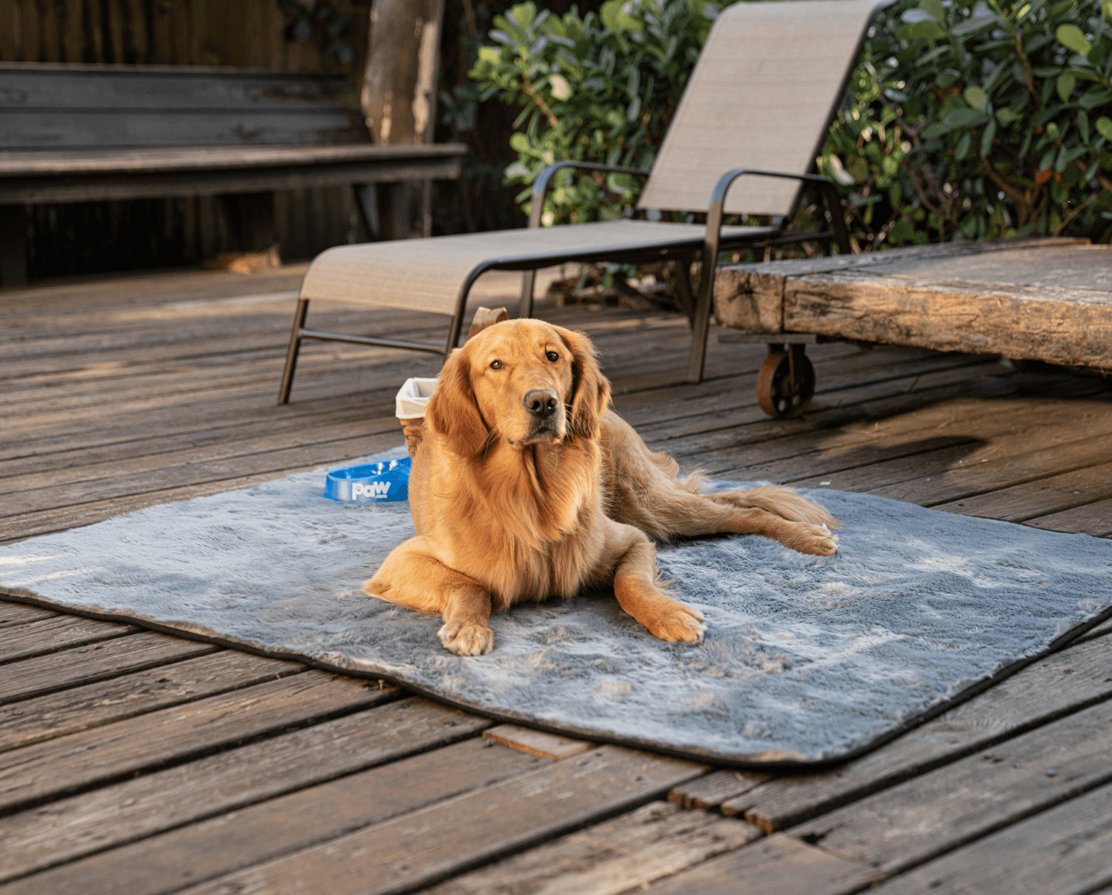 Pupprotector Summer Short Fur Waterproof Throw Blanket Grey - gallery image 8