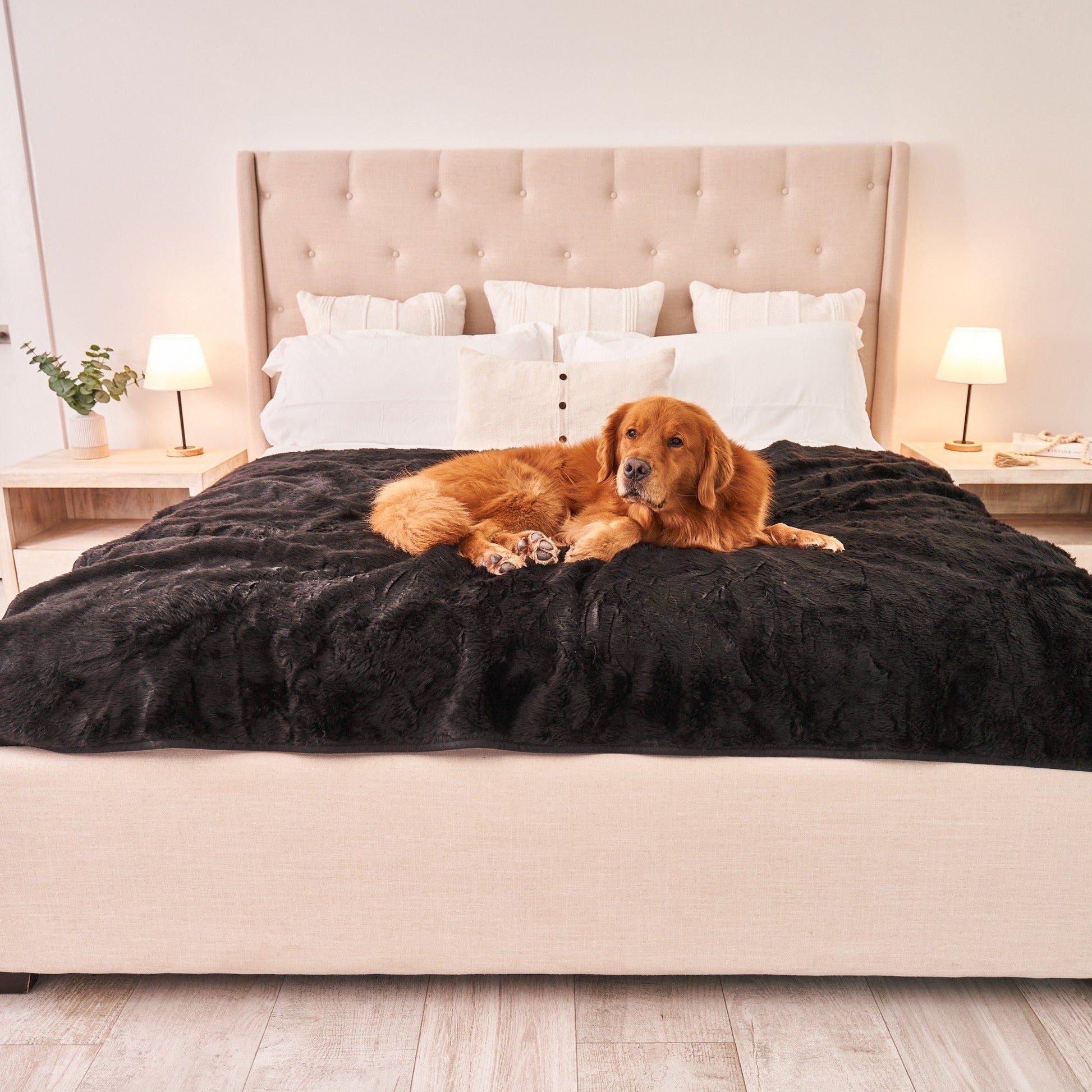 Waterproof Pet Blanket Soft Throw Midnight Black Washable - gallery image 10