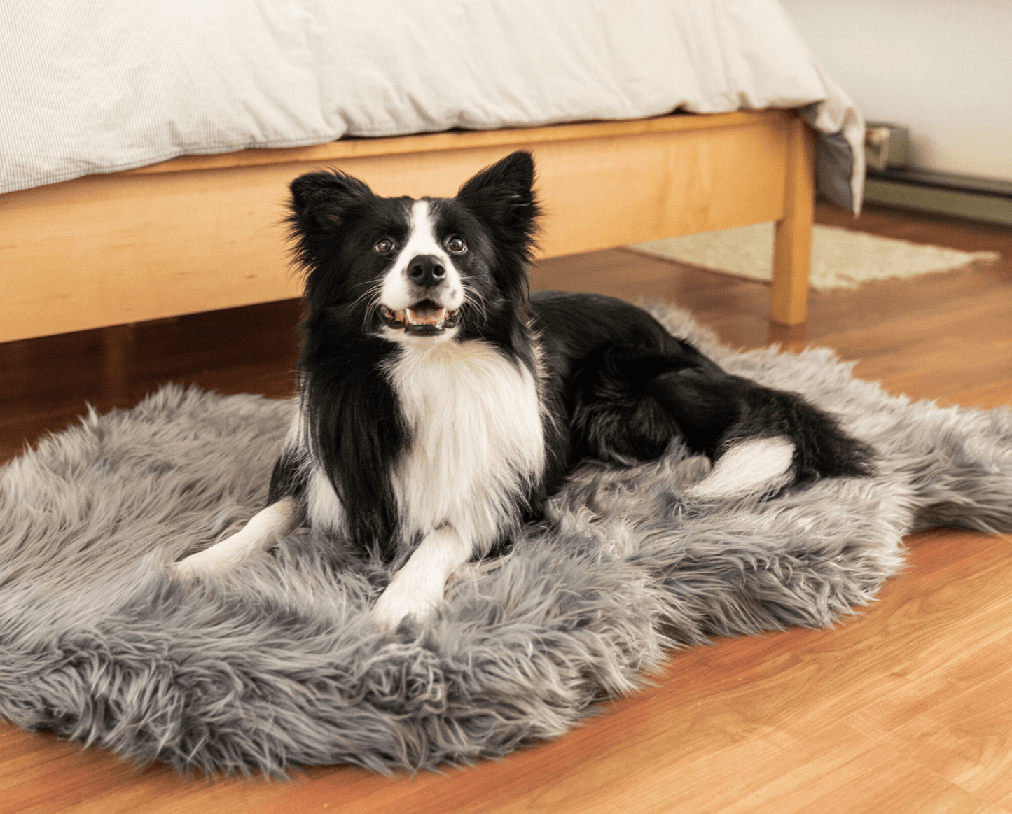 Memory Foam Dog Bed Faux Fur Charcoal Grey Orthopedic Comfor - gallery image 10
