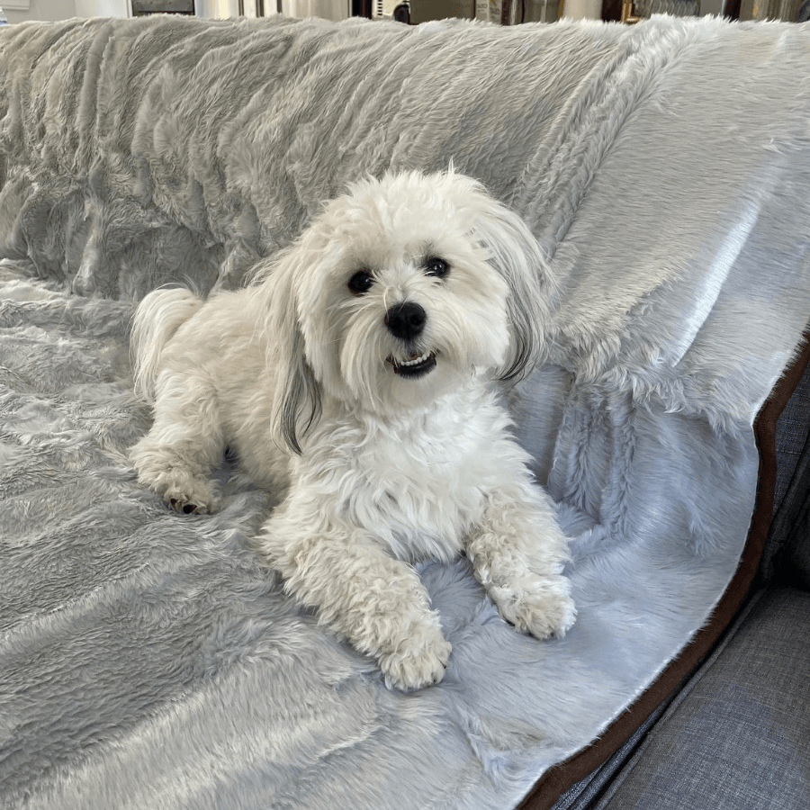 Waterproof Pet Blanket Soft Throw Grey Washable Cover Premiu - gallery image 7
