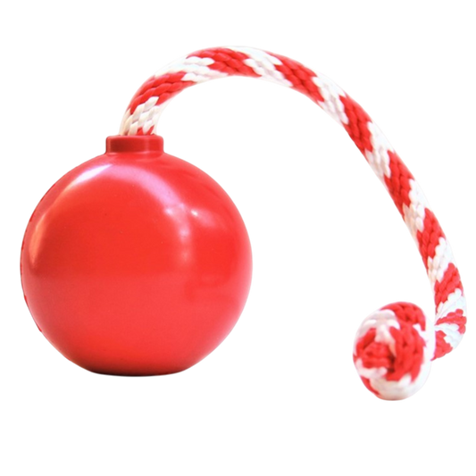 USA K9 Cherry Bomb Rubber Dog Chew Toy K9 Handler Reward Toy - main product image