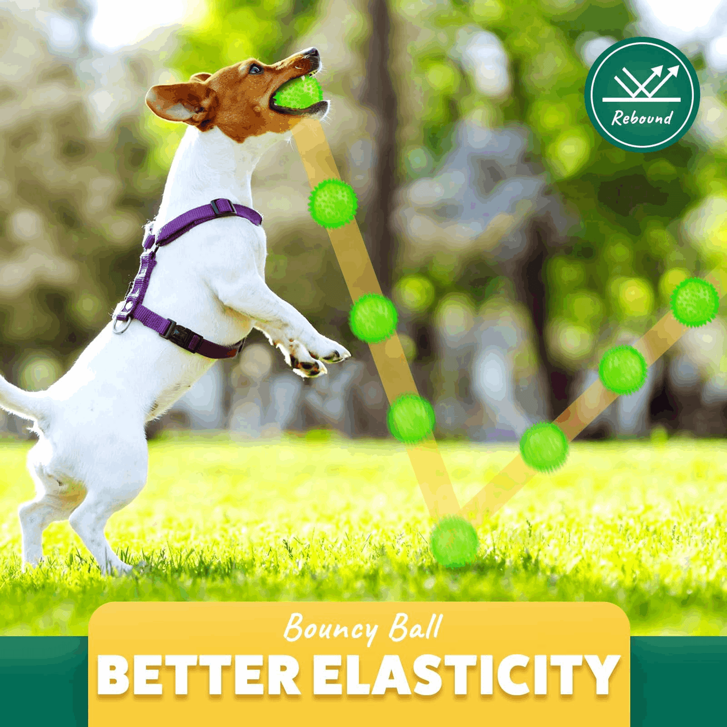 Dog Treats 2 5 Squeaky Interactive Dog Balls for Puppy Teeth - gallery image 5