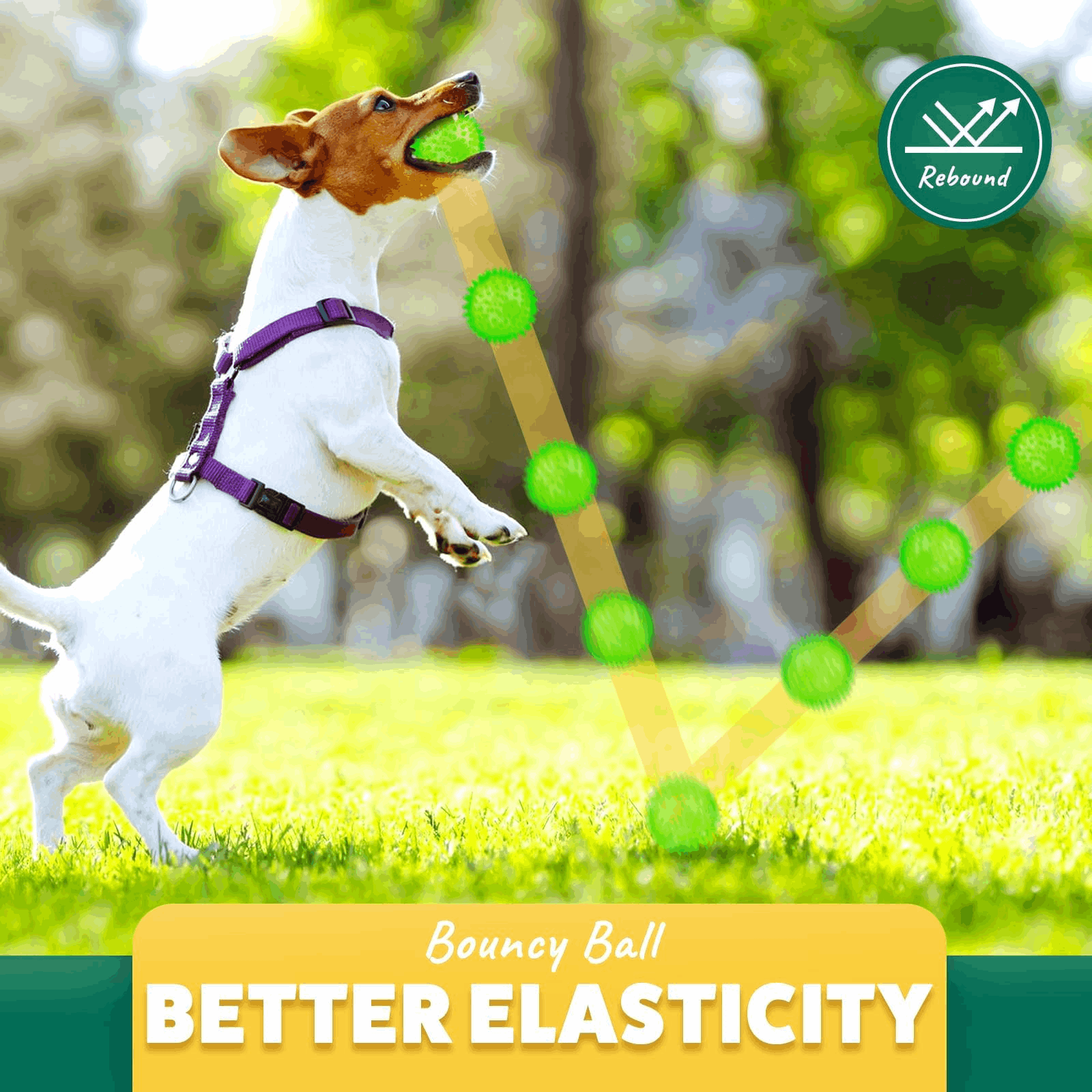 Dog Treats 2 5 Squeaky Interactive Dog Balls for Puppy Teeth - gallery image 5