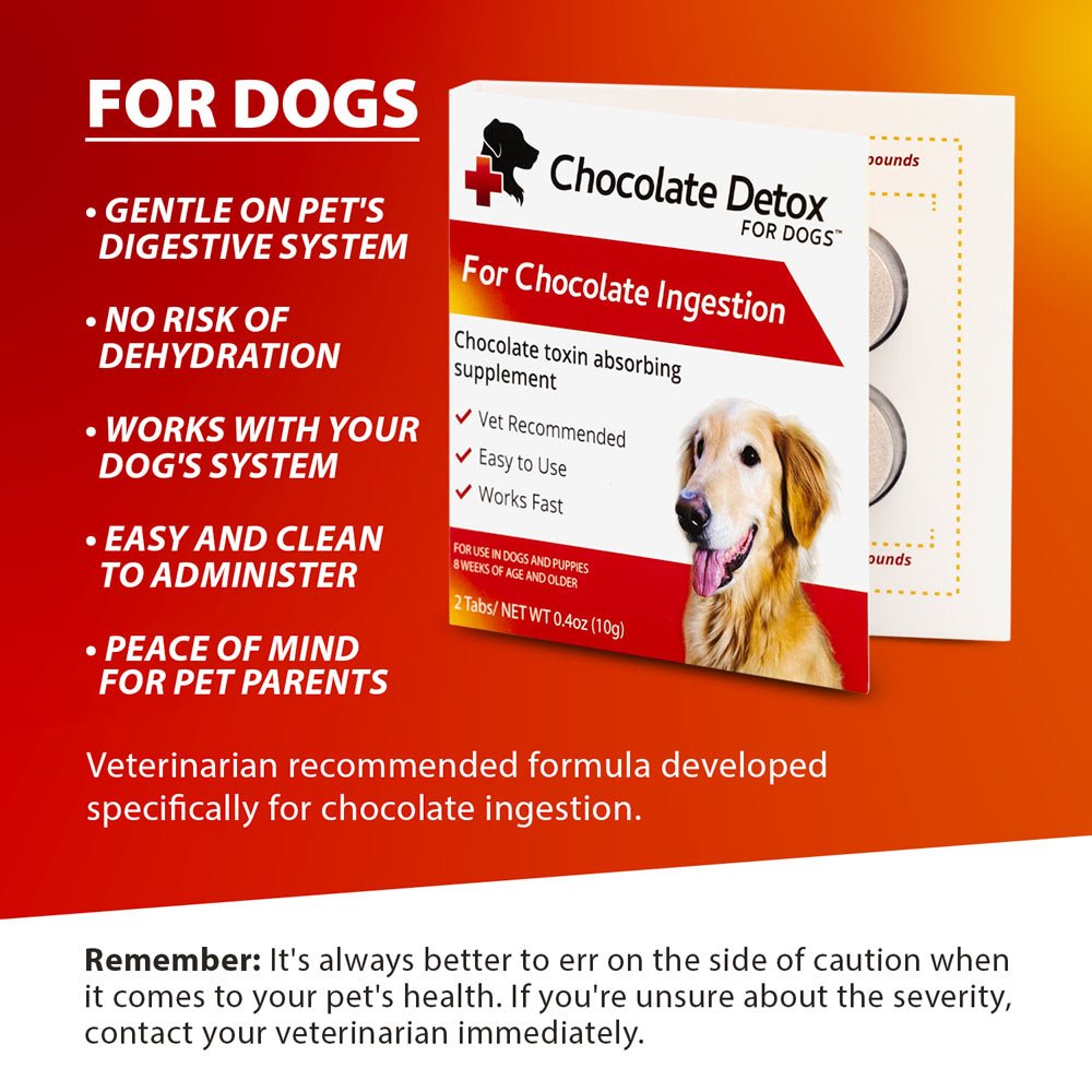 Chocolate Detox For Dogs 2 Tablets Pet Health Supplies Pet - lifestyle view