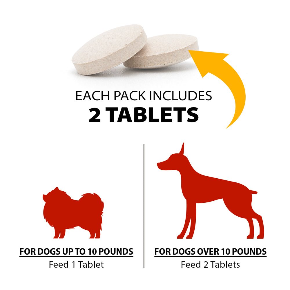 Chocolate Detox For Dogs 2 Tablets Pet Health Supplies Pet - detail view