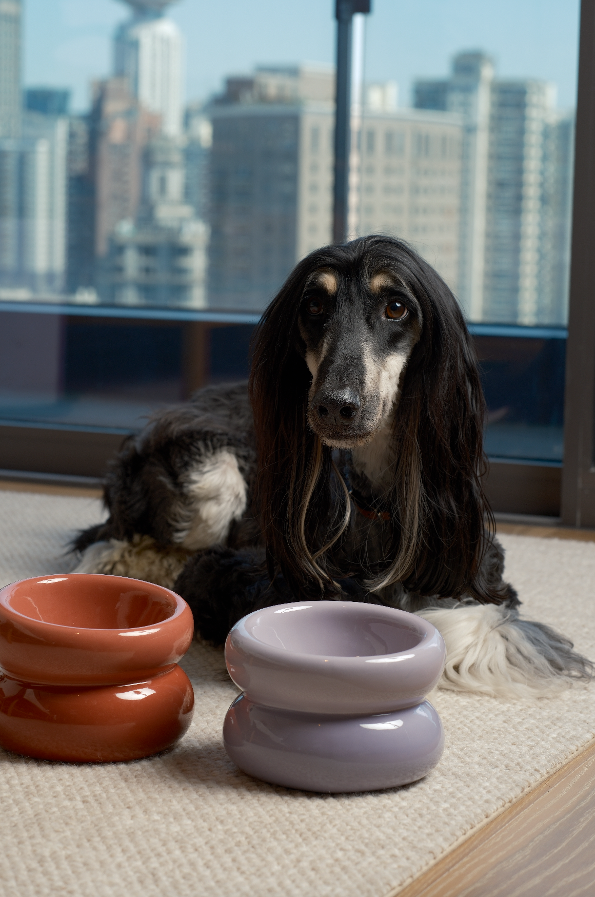 Pet Feeders & Bowls Adjustable Purple Premium Pet Supply - gallery image 5