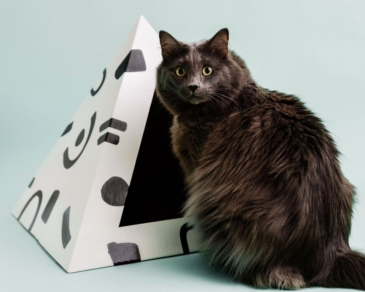 'Doodle' Cardboard Cat Pyramid - main product image