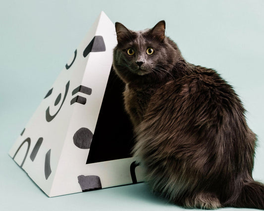 'Doodle' Cardboard Cat Pyramid - main product image