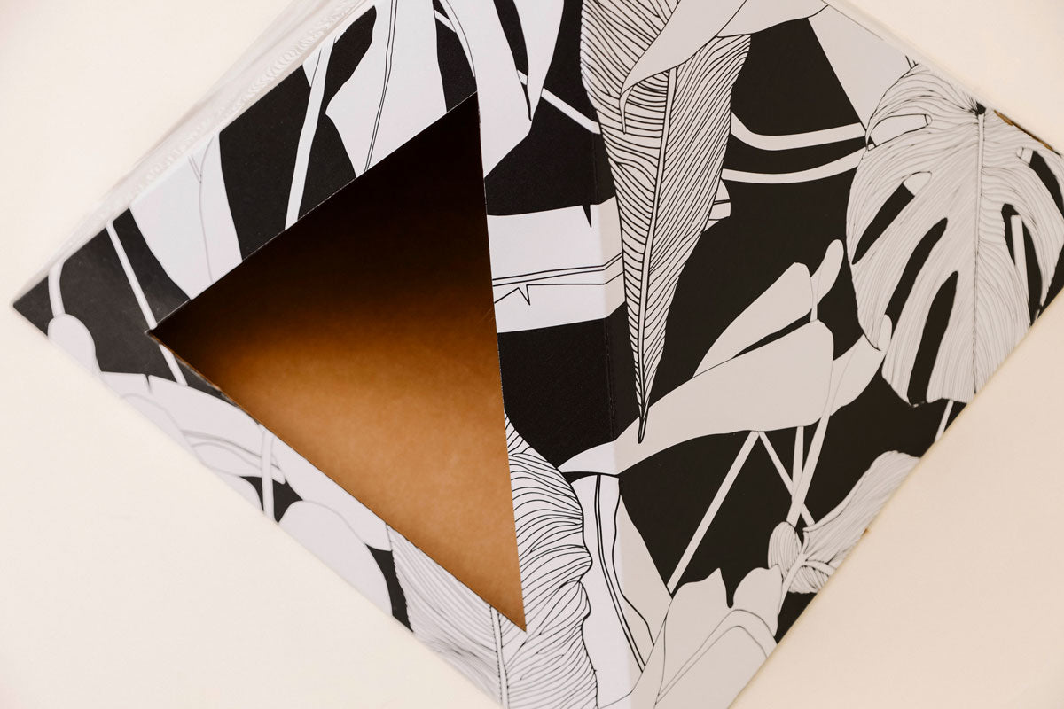 'Dark Paradise' Cardboard Cat Pyramid - lifestyle view