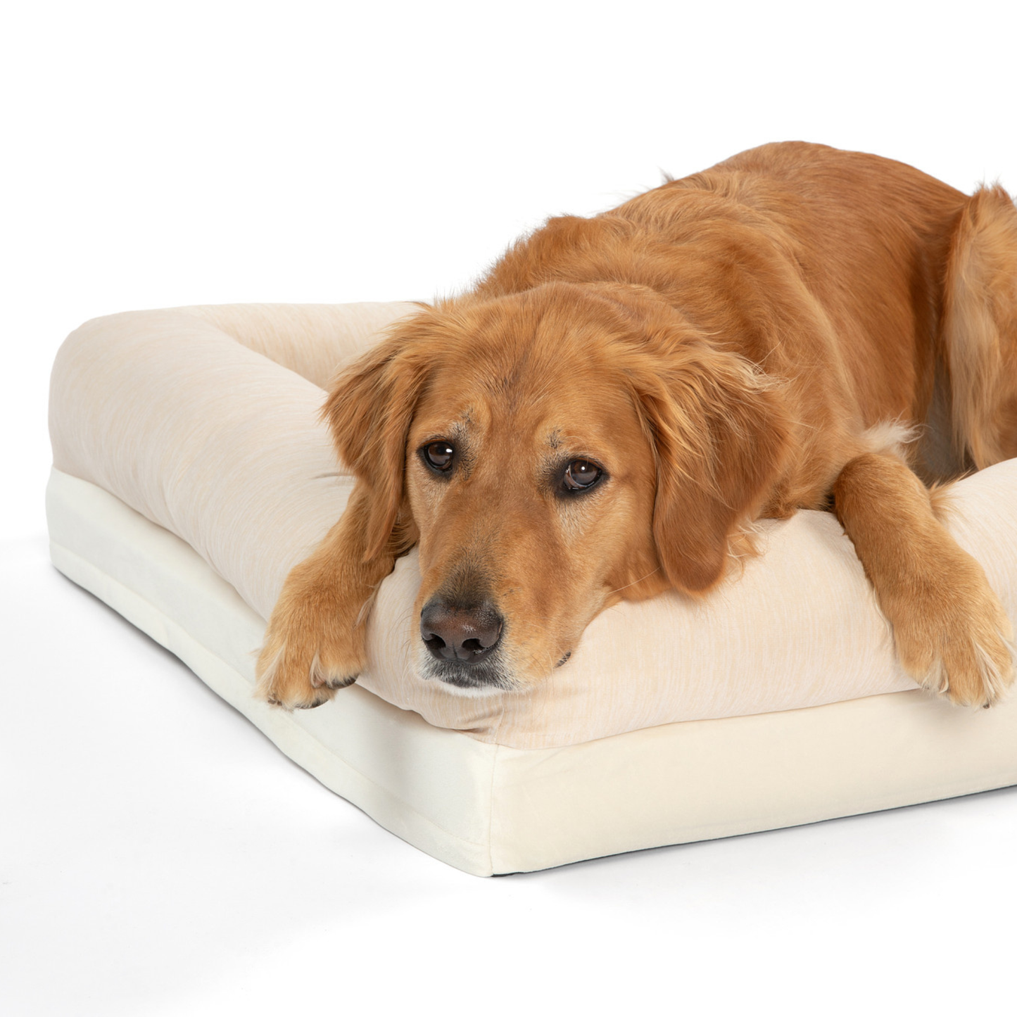 Pupchill Cooling 4 Bolster Dog Bed Arctic Sand Washable Pet - lifestyle view