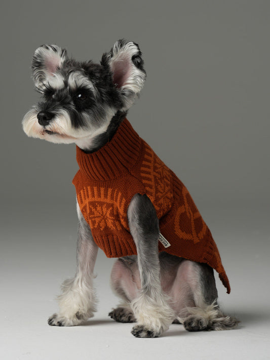 Pretzel Pet Sweater Tofee Orange Dog Sweaters Premium Pet - main product image