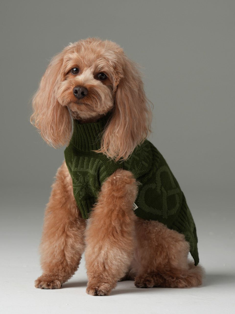 Pretzel Pet Sweater Olive Green Dog Sweaters Premium Pet - main product image