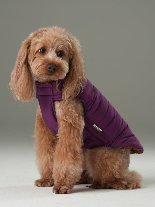 Reversible Dog Vest Jacket Purple Caramel Dog Apparel Pet - main product image