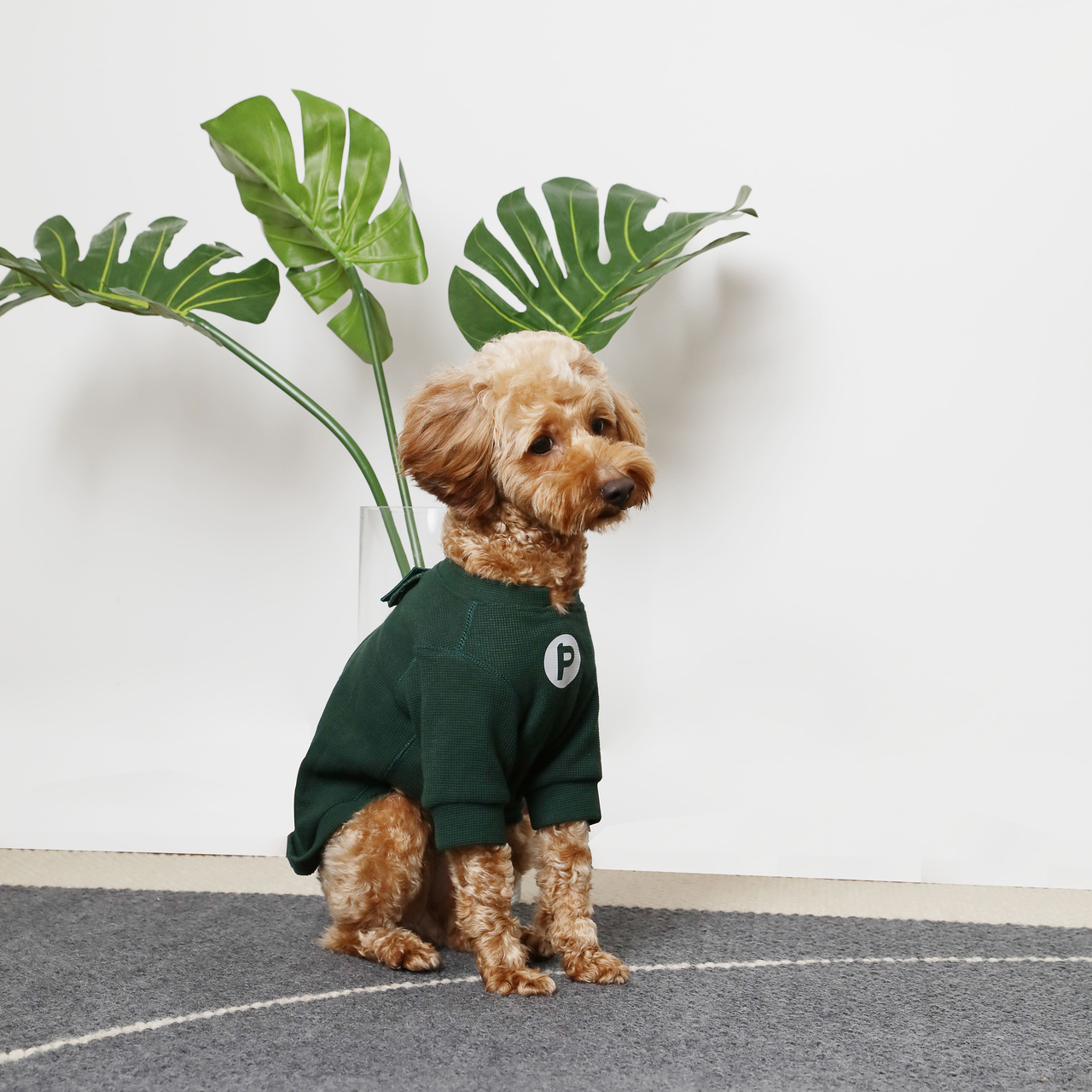 Embroidery Waffle T Shirt Green Dog Apparel Premium Pet - gallery image 5