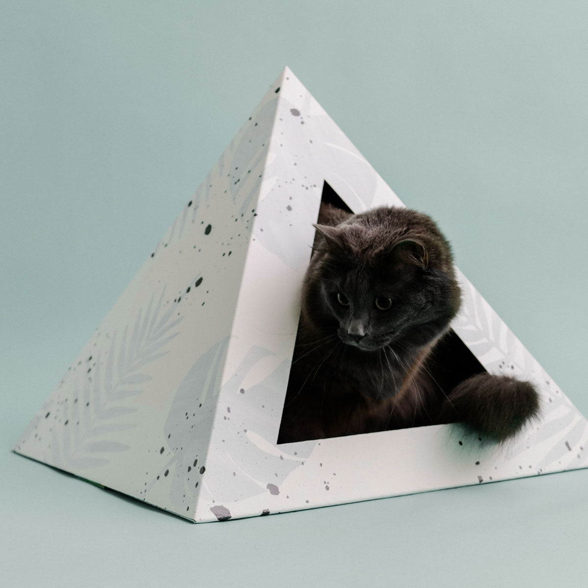 'Oasis' Cardboard Cat Pyramid - close up view