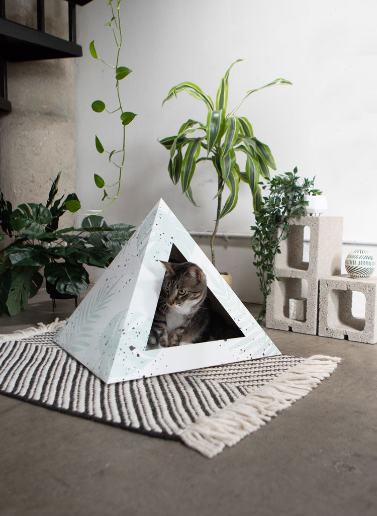 'Oasis' Cardboard Cat Pyramid - main product image