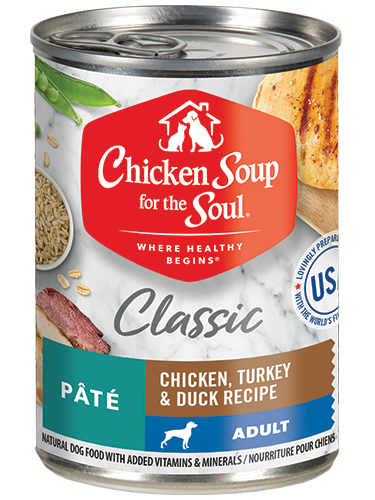 Chicken Soup Adult Chicken Turkey And Duck Wet Dog Can 13Oz - main product image