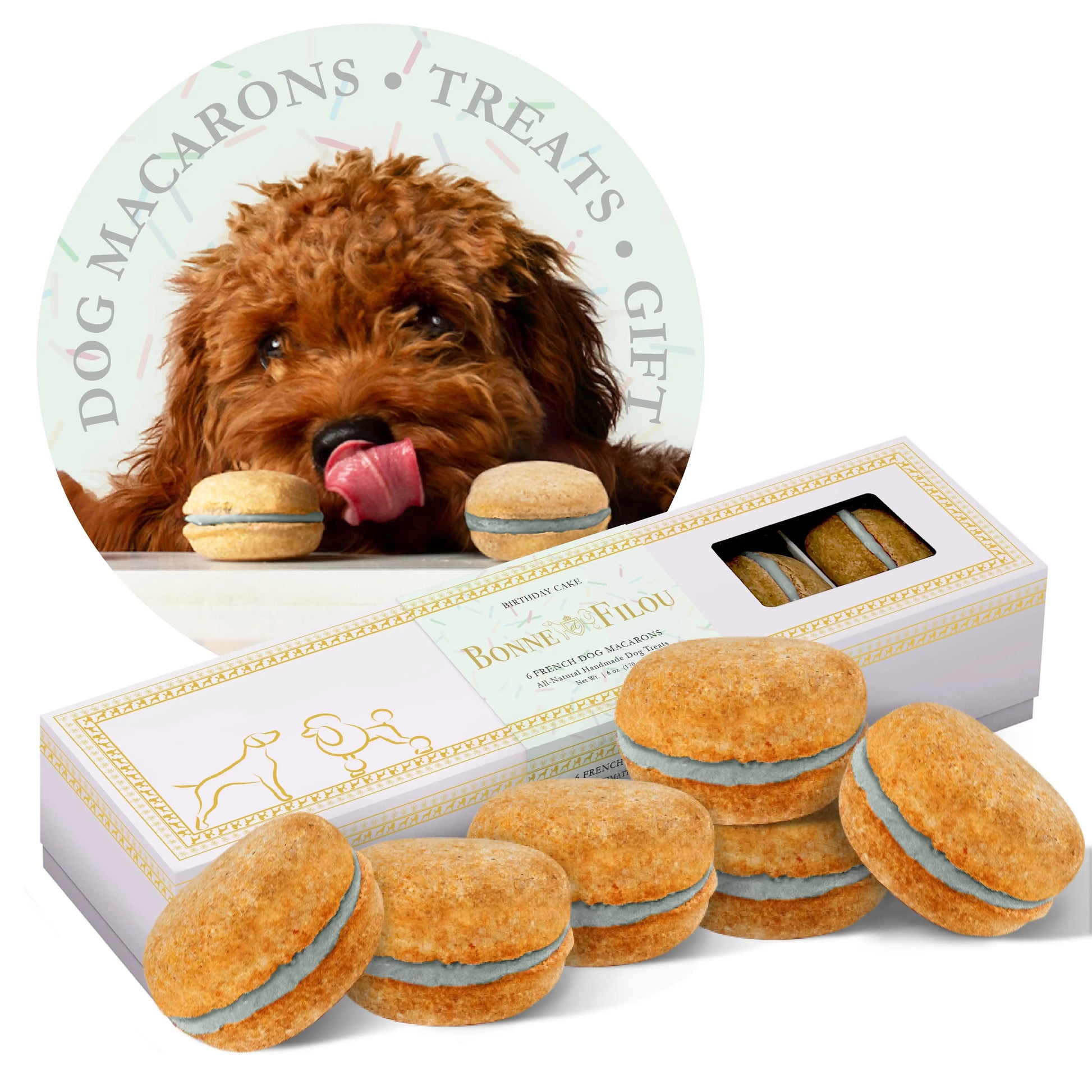 Dog Treats Macarons Box of for Daily Use for Comfort Essenti - size and texture image for dog treats