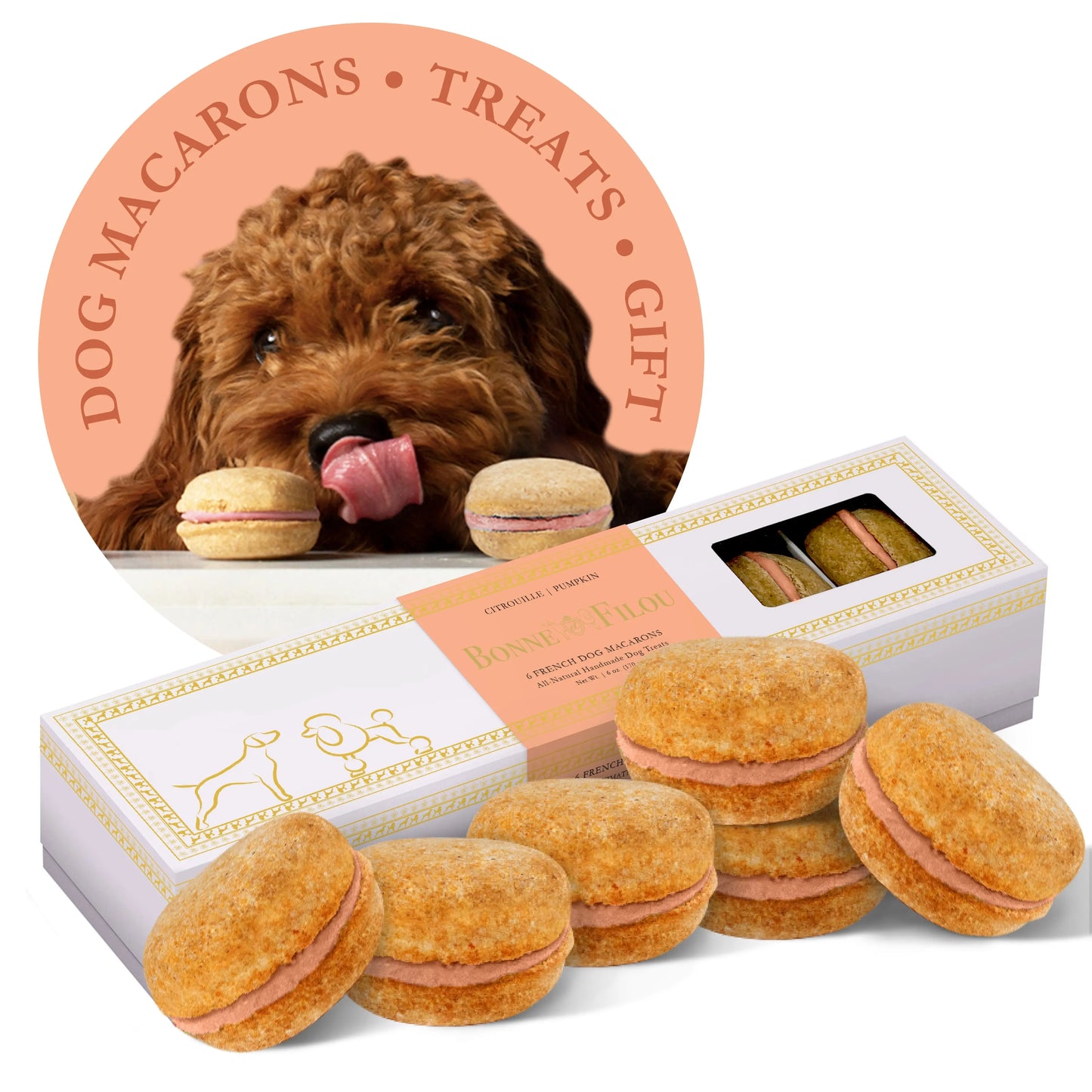 Dog Treats Macarons Box of for Daily Use for Comfort Essenti - lifestyle product image for dog treats