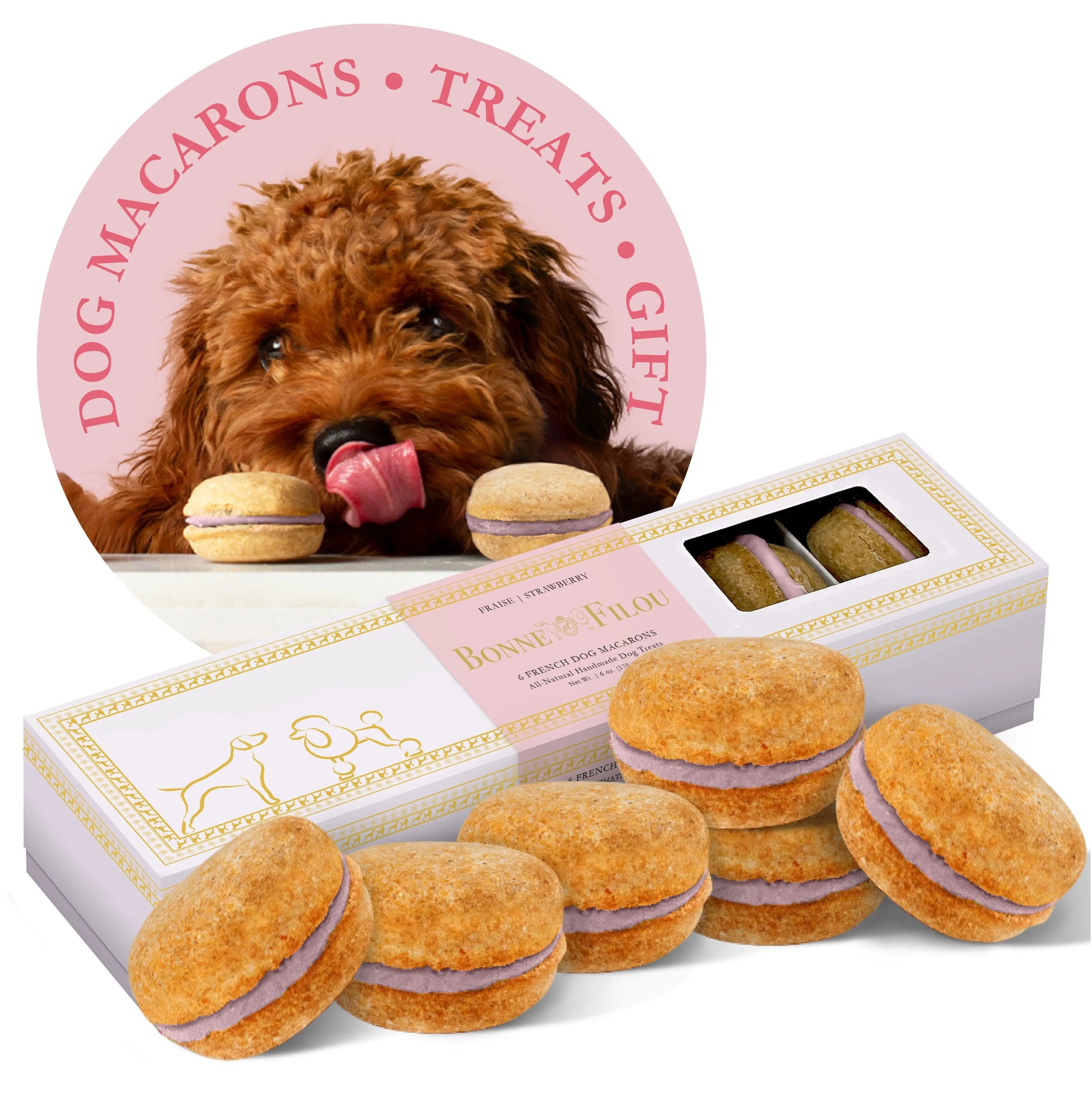 Dog Treats Macarons Box of for Daily Use for Comfort Essenti - main product image for dog treats