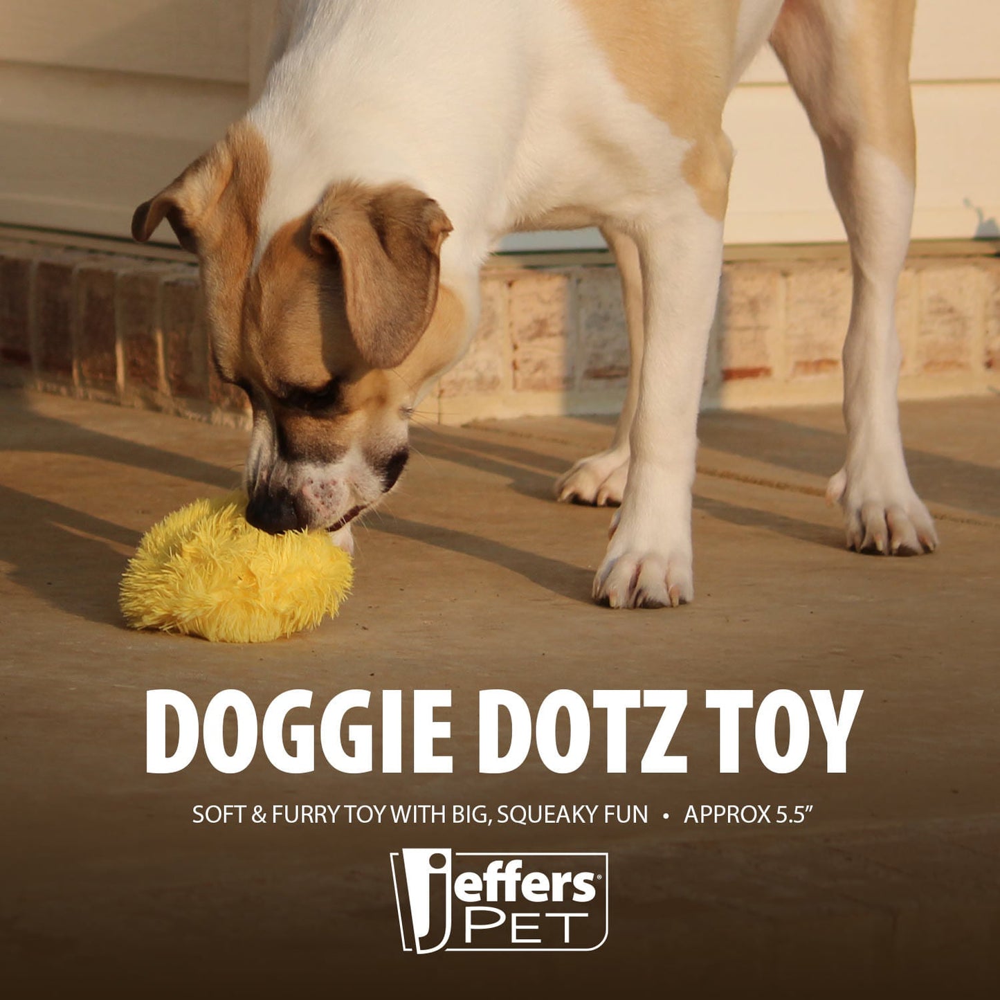 5 Doggie Dotz Plush Squeaker Dog Toy Each Dog Toy - lifestyle view