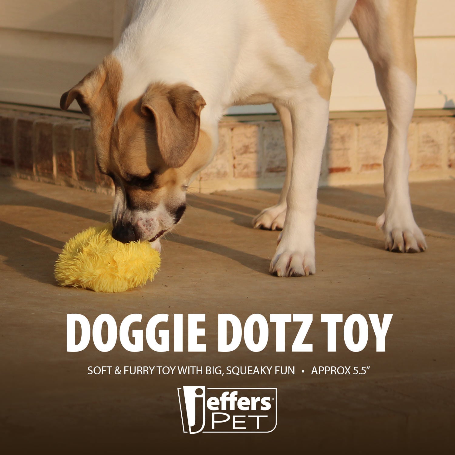 5 Doggie Dotz Plush Squeaker Dog Toy Each Dog Toy - lifestyle view
