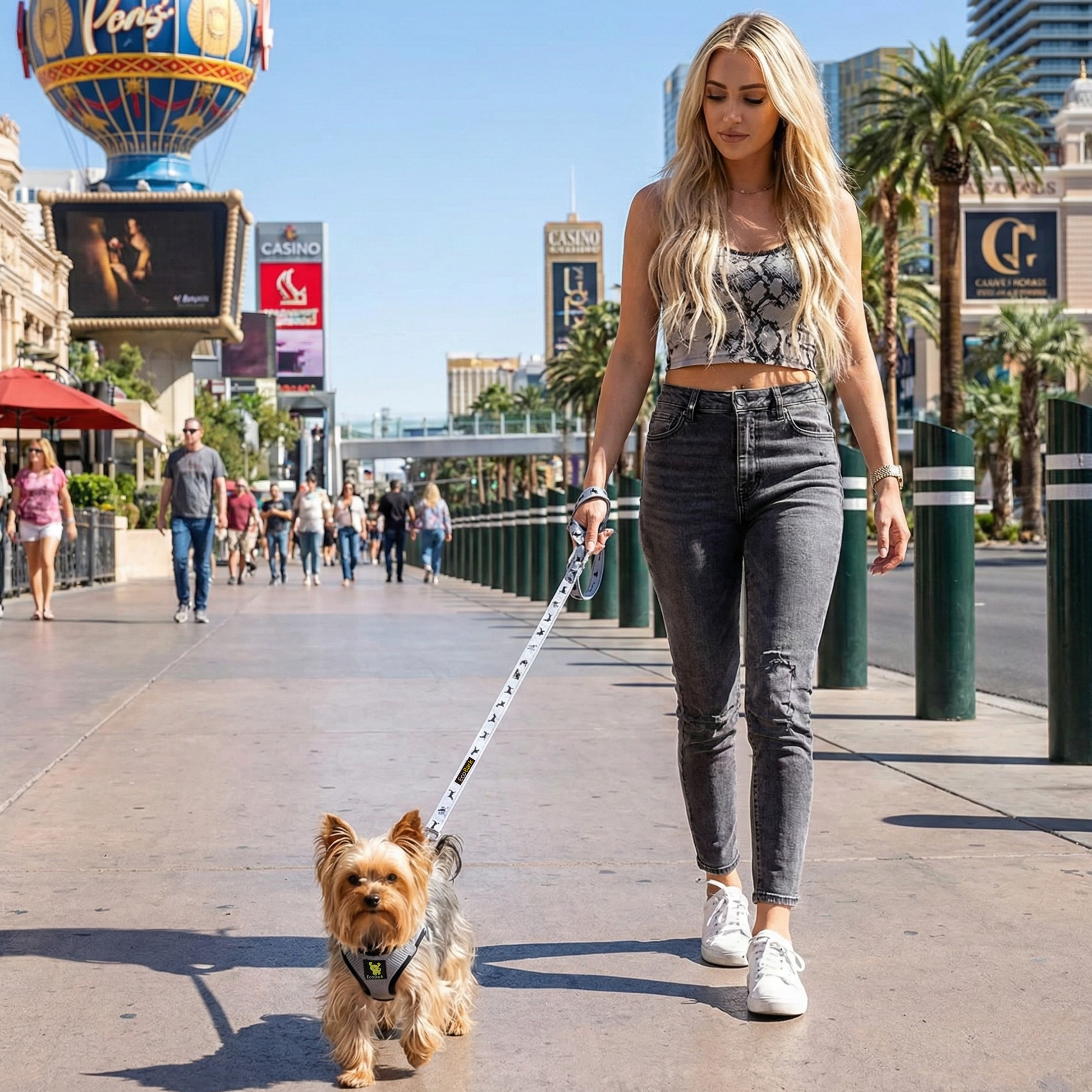 Dog Leash EcoBark Gray Leash- Padded Comfort Grip Leash 4ft - gallery product image for dog leash