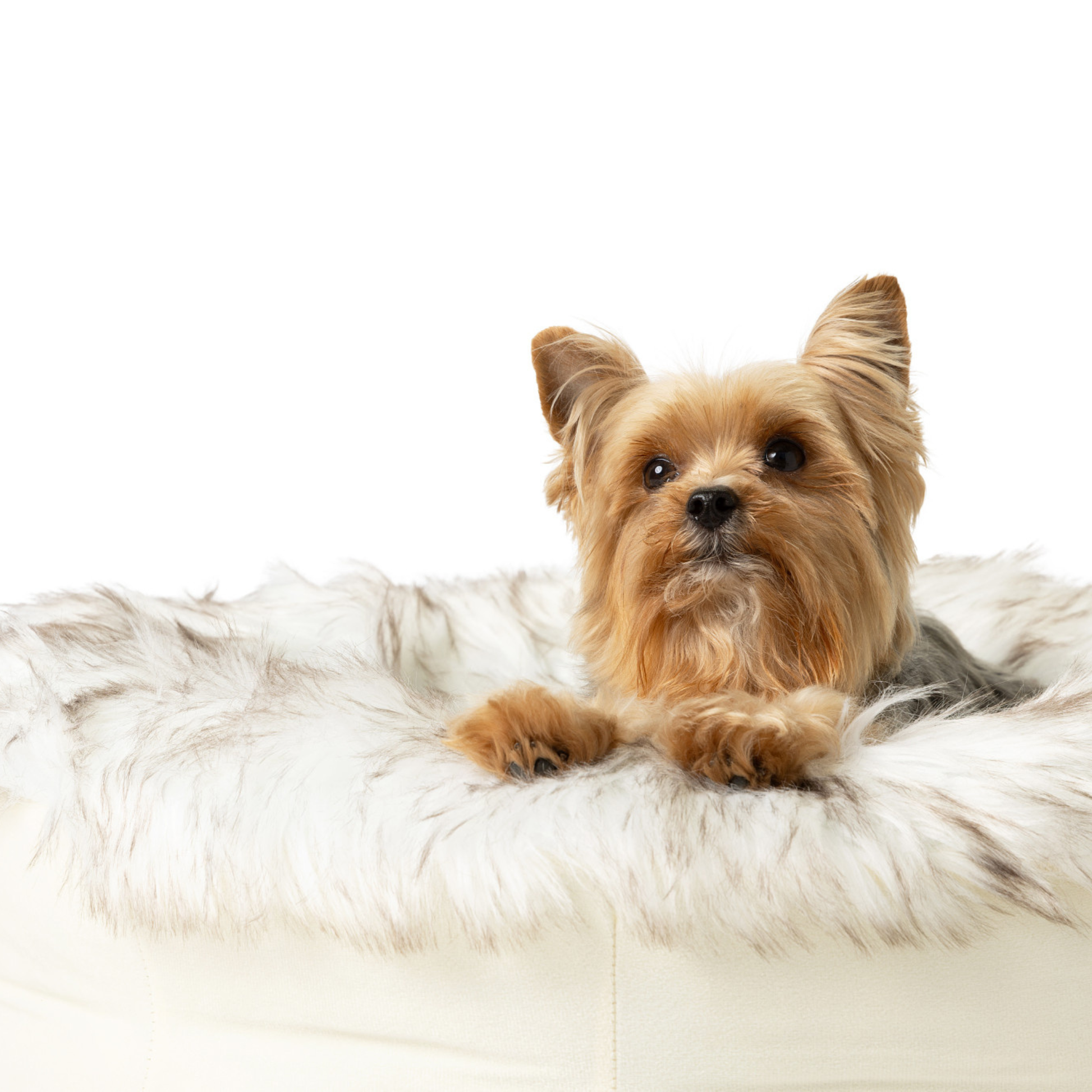 PupPoufT Faux Fur Donut Dog Bed - White with Brown Accents - gallery image 5